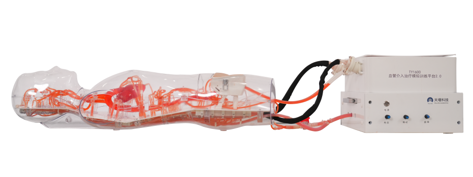 Vascular Intervention Simulator